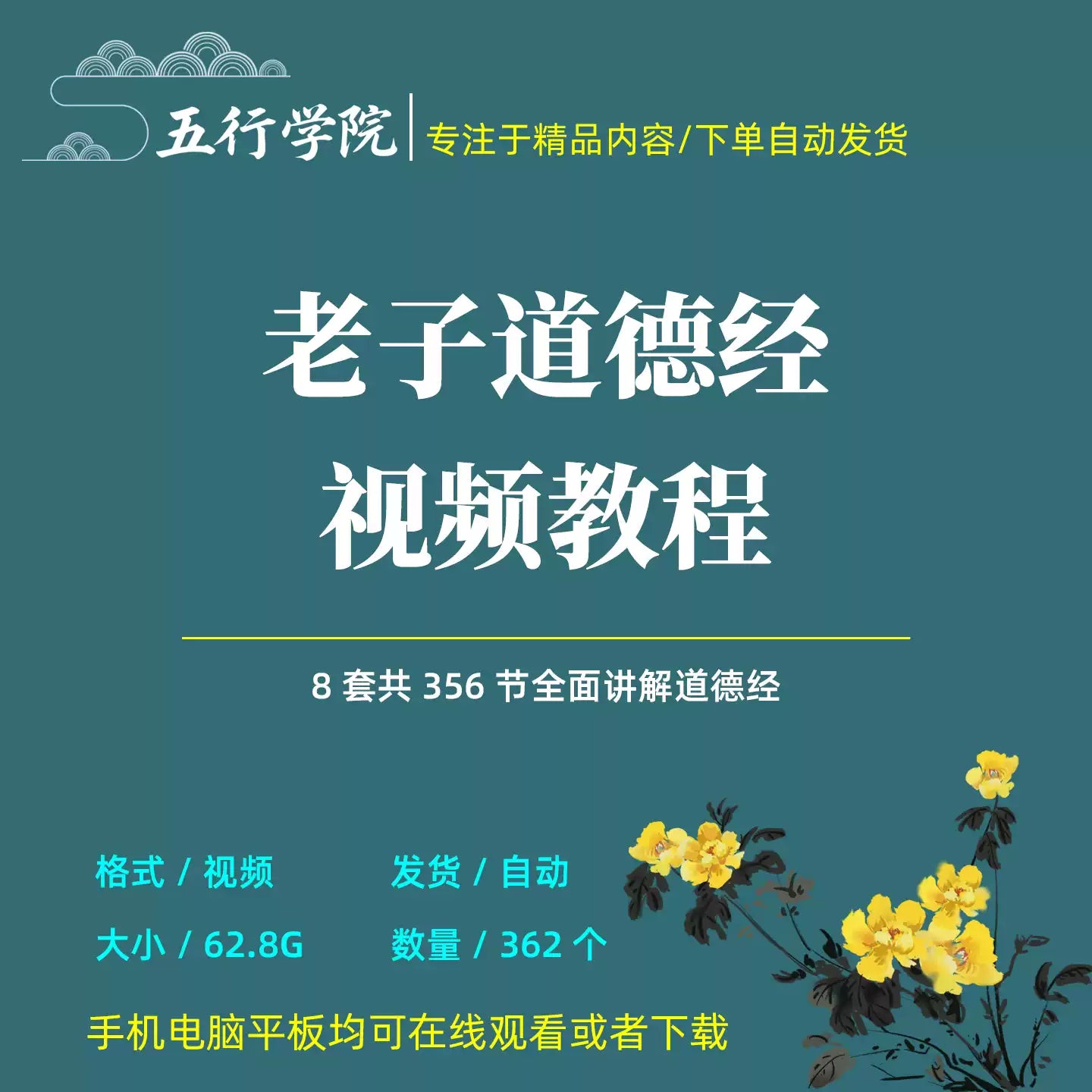 道德经高清视频教程合集传统文化经典国学自学